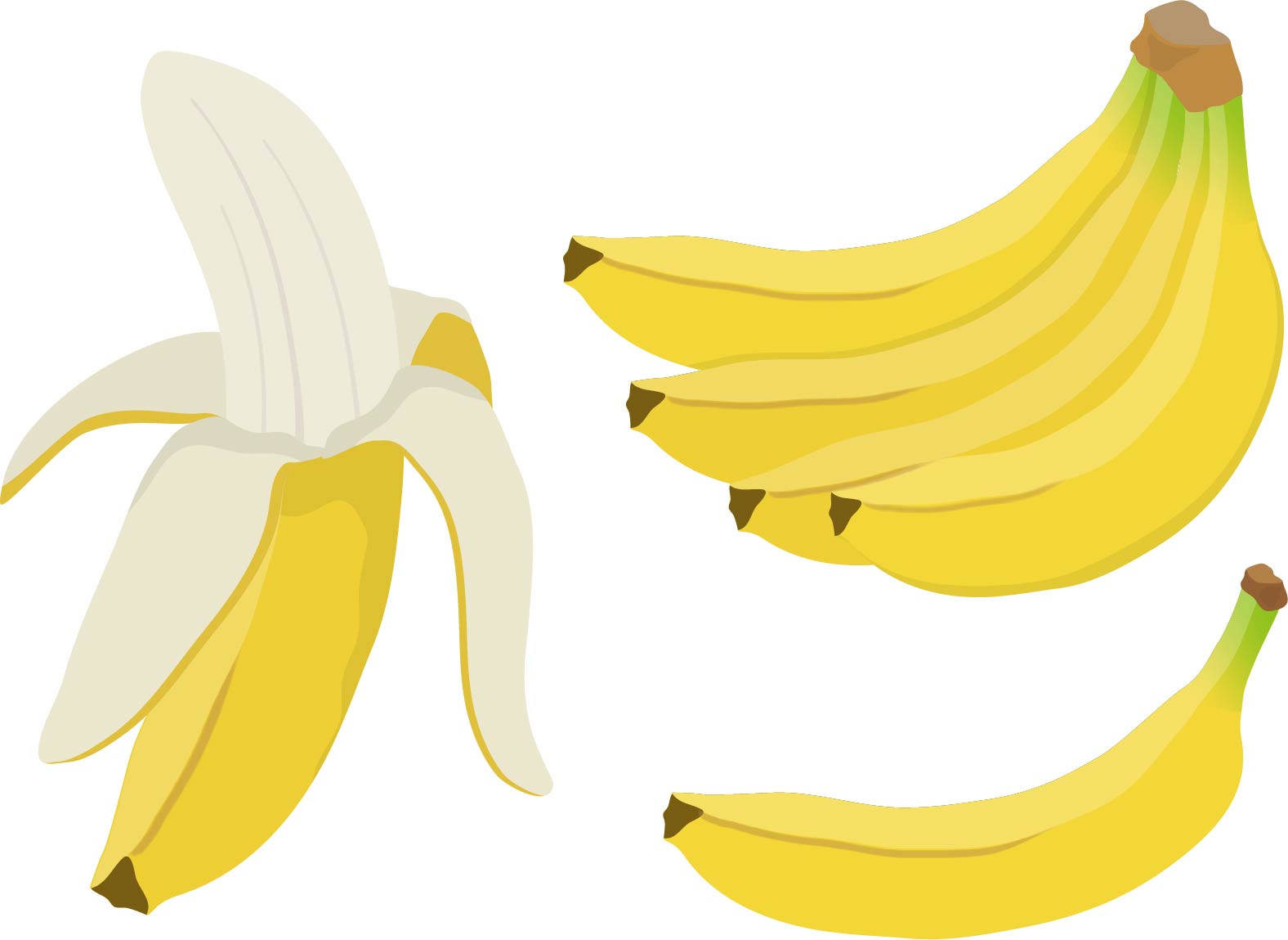 自分に何ができるか ― 明らめるという生き方