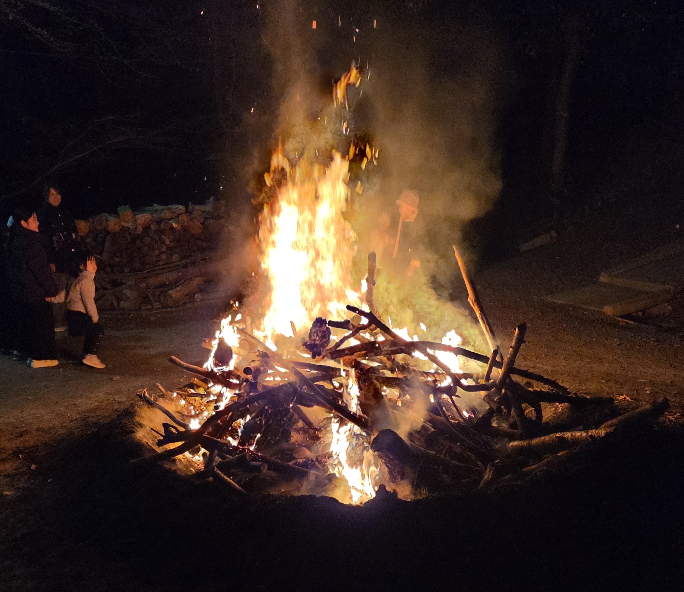 新年のご挨拶に代えて