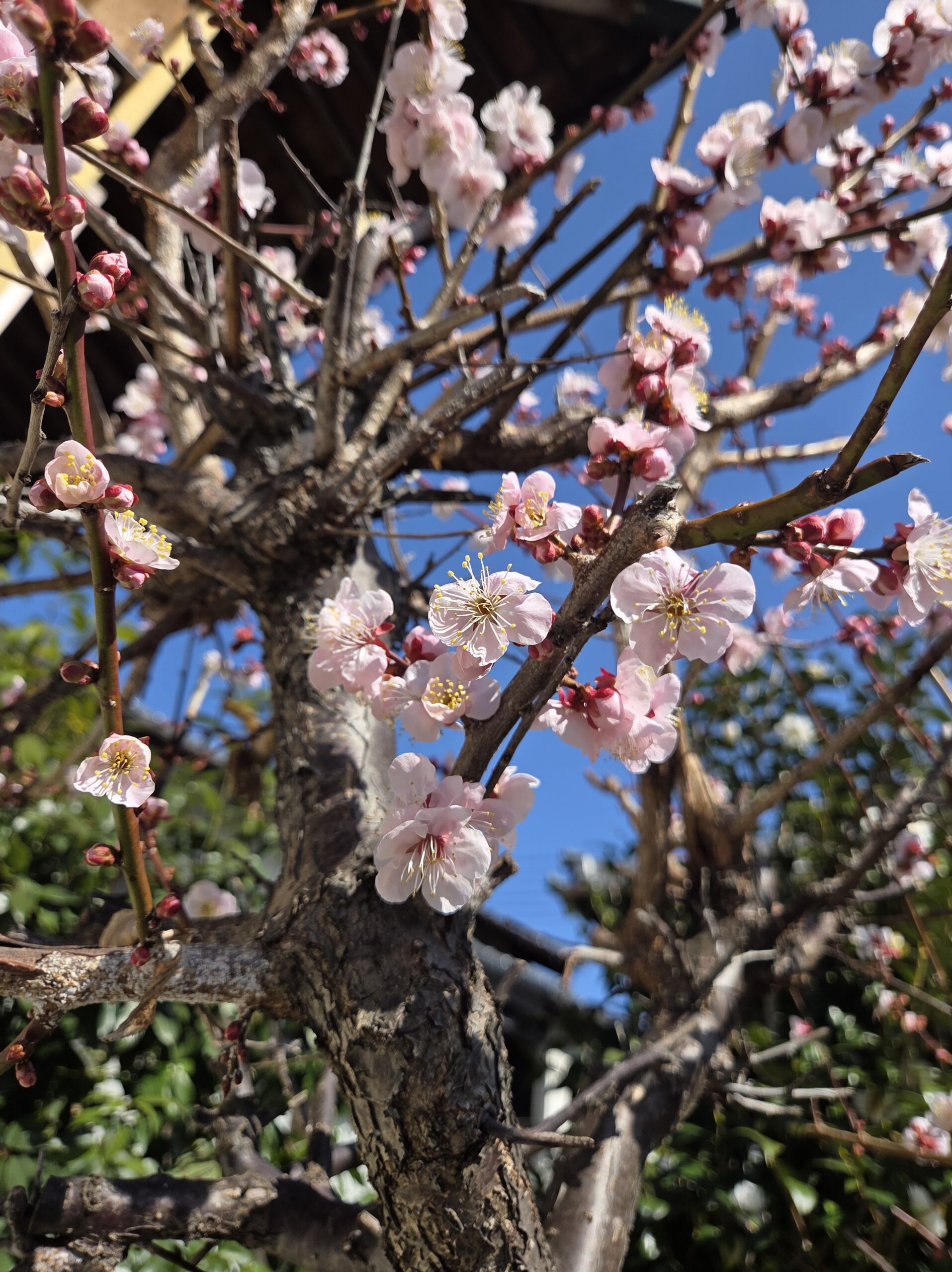 世間を知らずと言われて