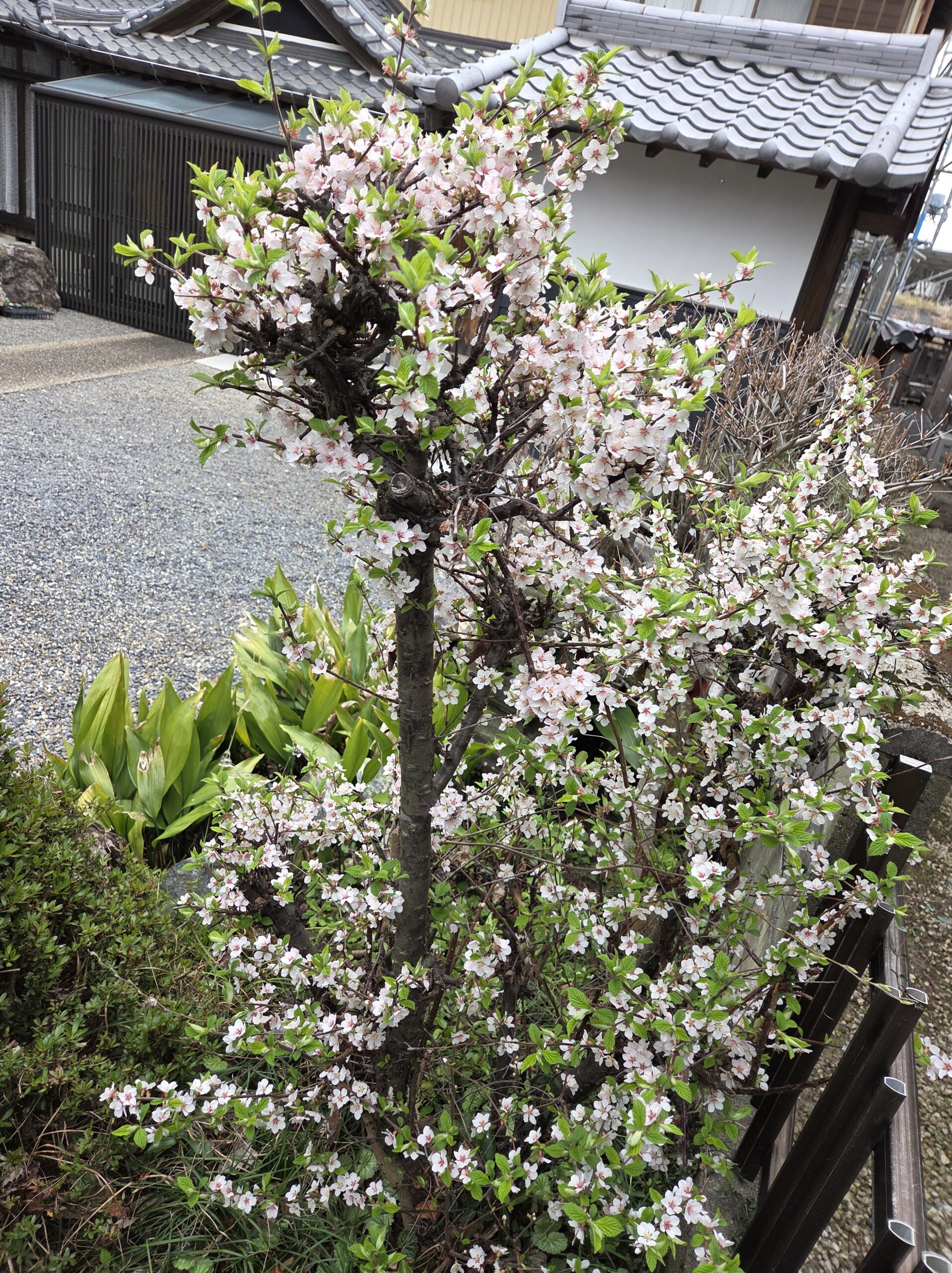 「正解」を探すのを、やめてみませんか？